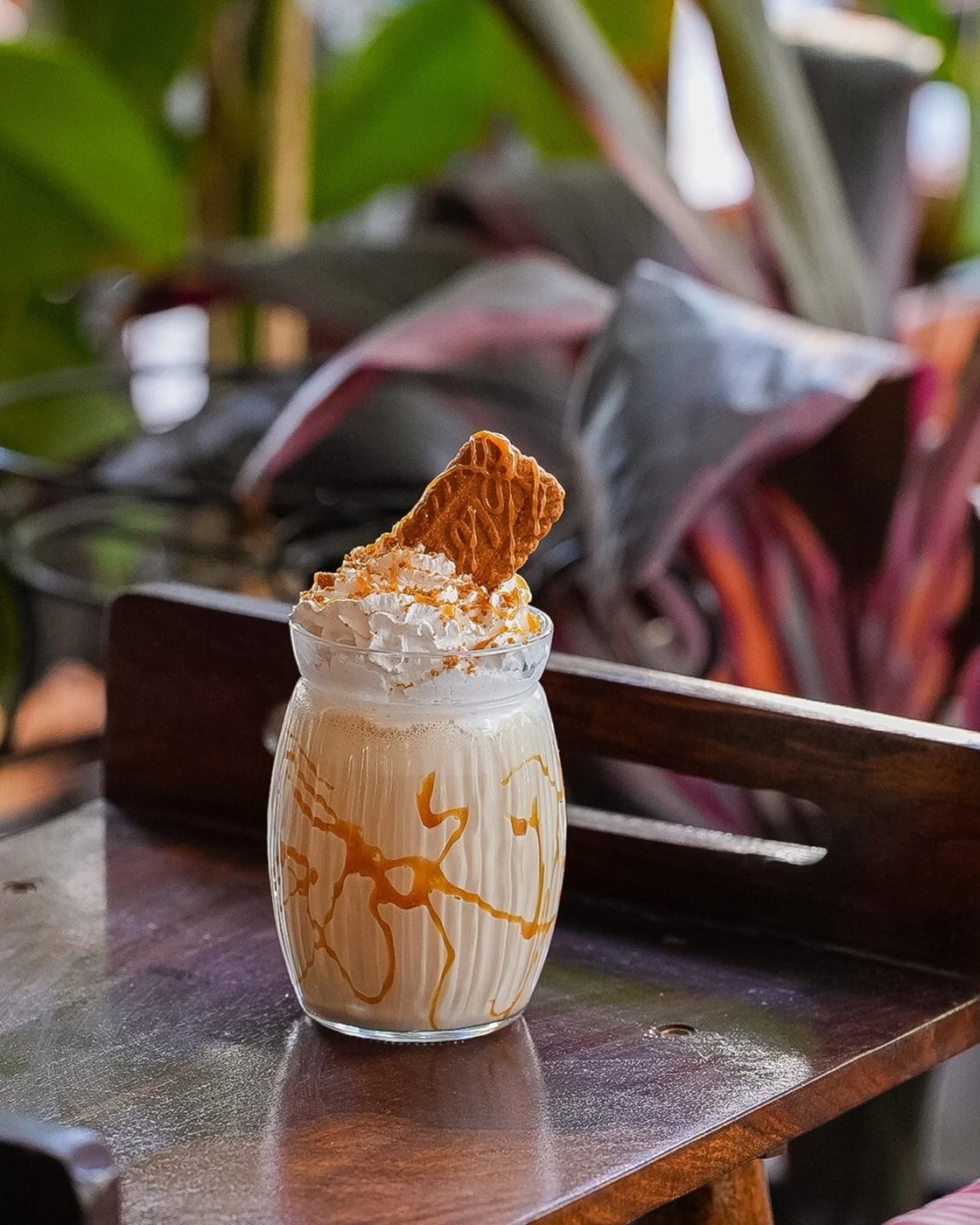 A Biscoff shake resting on a wooden bench with plants behind