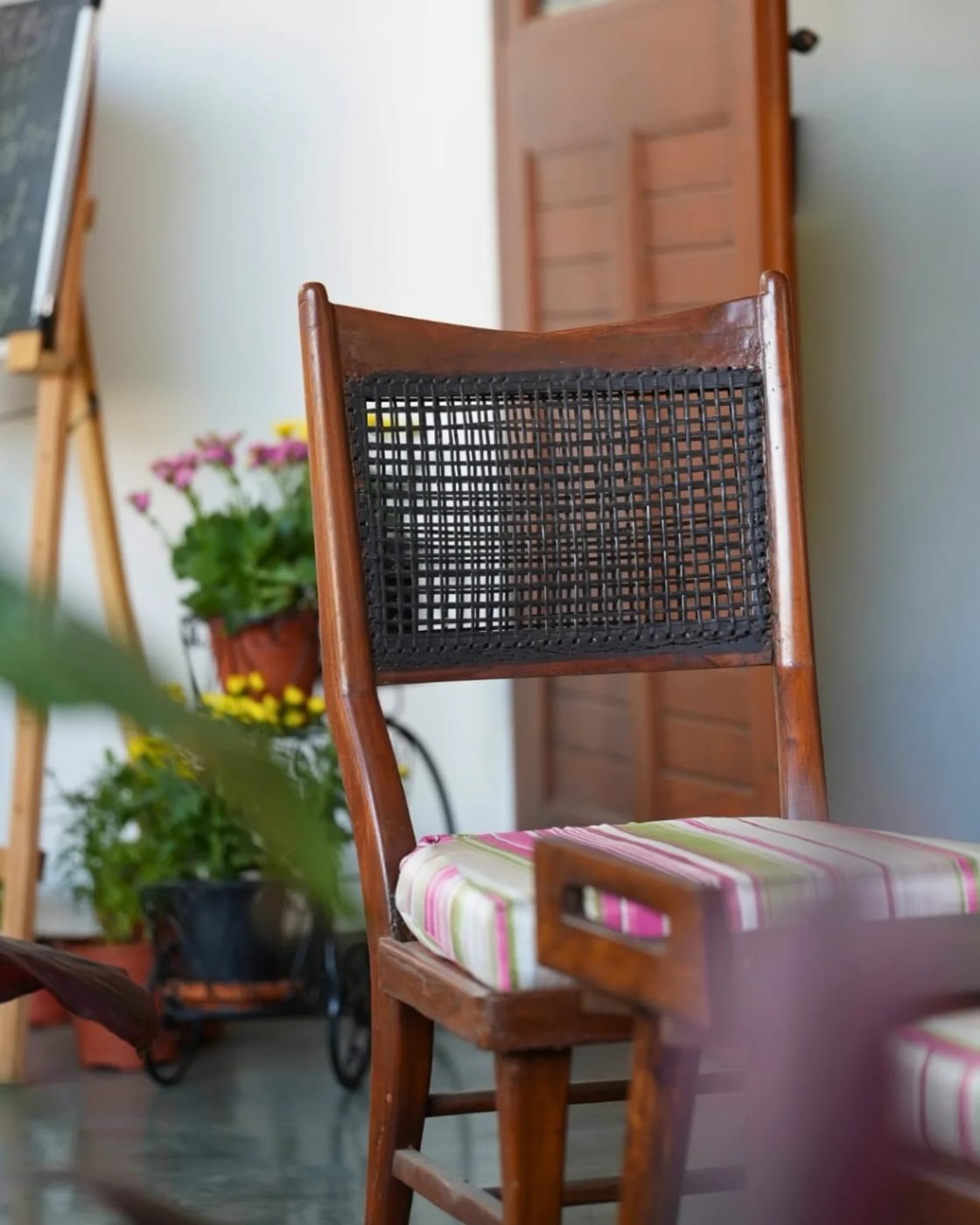 A cane-backed chair beside easels and pots of flowering plants