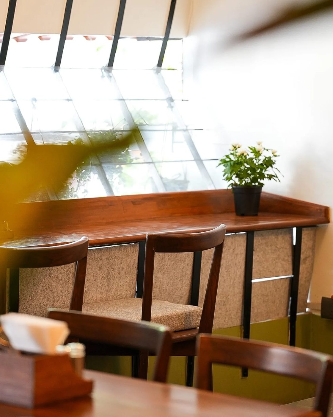 Late morning light falling across the long wooden table by the window